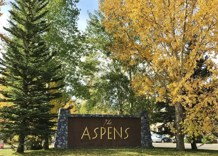 Rmr: Spruces 13 - The Elks In The Aspens Wilson